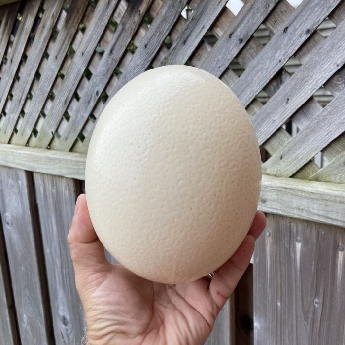 0fefad55-6385-4856-bc7f-34b38dbc3bfc