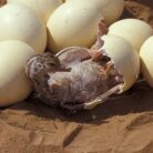 361affb7-670d-4ea7-8c02-ad1f18f22243