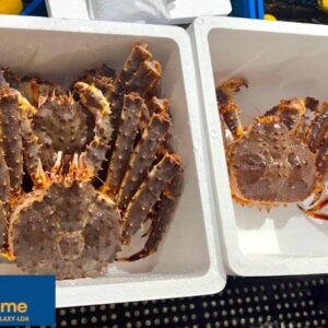 Alaskan King Crab – ( Live\Frozen)